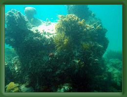 Seabase Scuba 2012 (15) * 4288 x 3216 * (7.33MB)